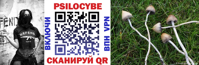Галлюциногенные грибы MAGIC MUSHROOMS  Усть-Катав 